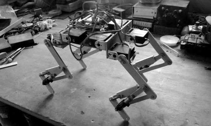 Gato sobre las cuatro patas/ Cat-Bot on its four feet.